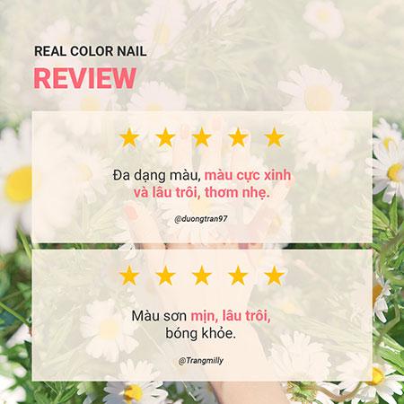 Sơn móng innisfree Real Color Nail 6 mL